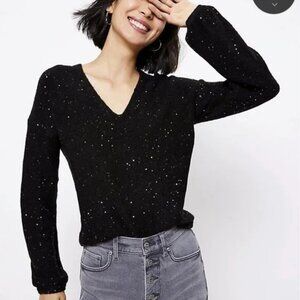 LOFT Black Sweater and Black Sequin Double V-Neck Sweater